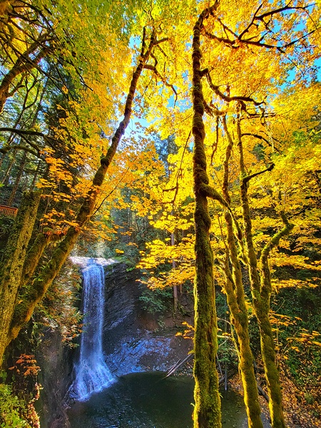 Ammonite Falls Print