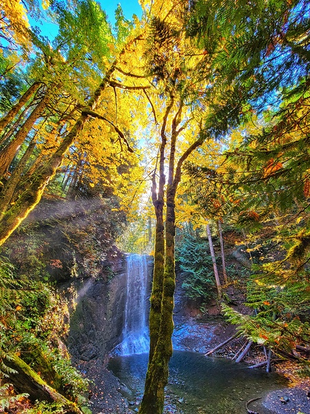 Waterfall of Autumn - Ammonite Falls Vancouver Island by Adam Copp