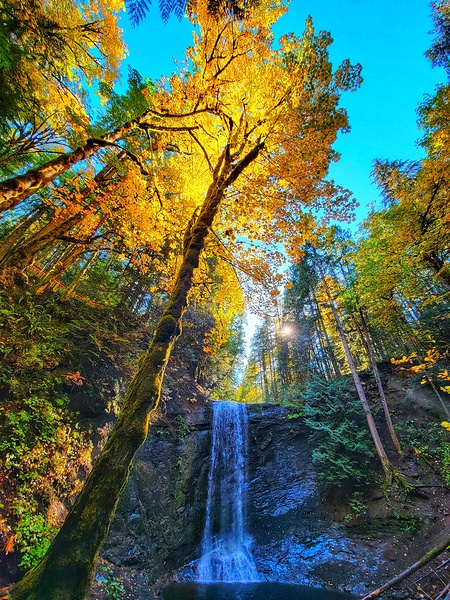 Ammonite Falls Print