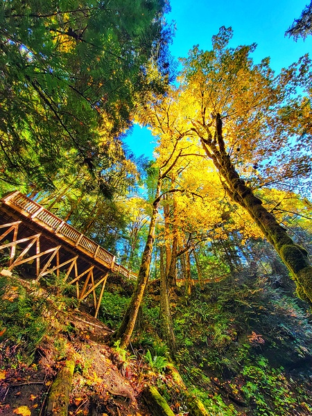 Colors of Fall by Adam Copp