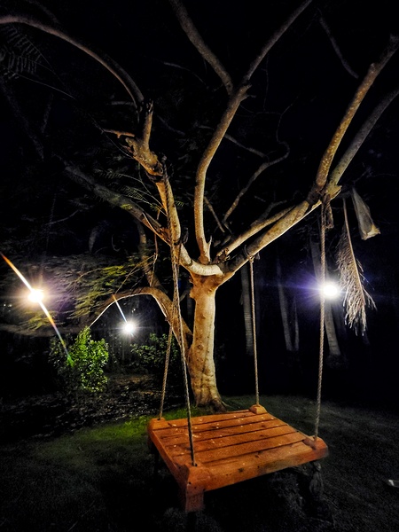 Tree Swing Print