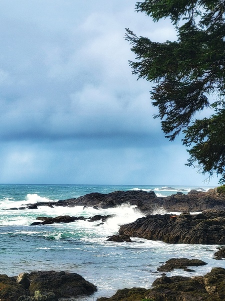 Tofino Waves Print