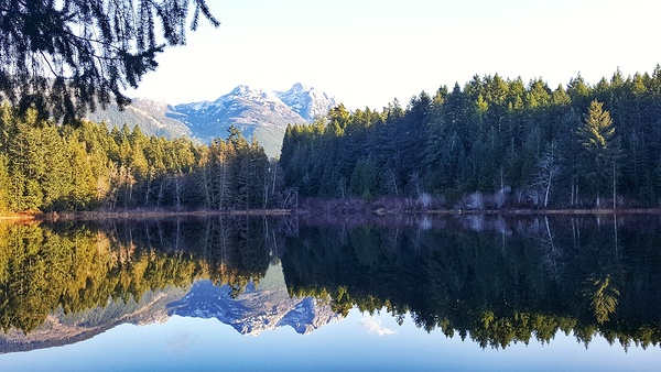 Loon Lake Print