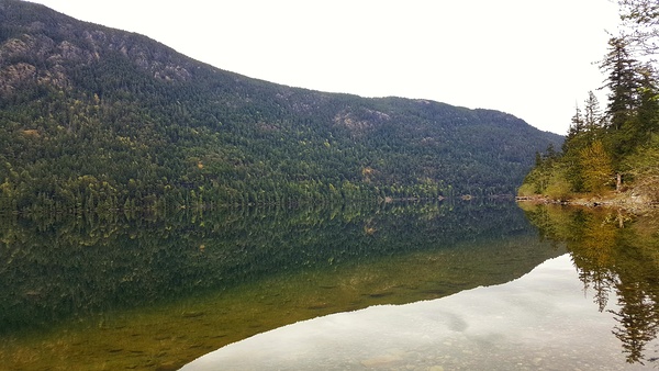 Cameron Lake Point Reflections Print