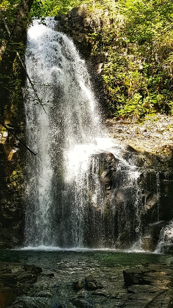 Weiner Falls Port Alberni Print