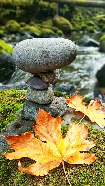 Happy Rock Leaf Print