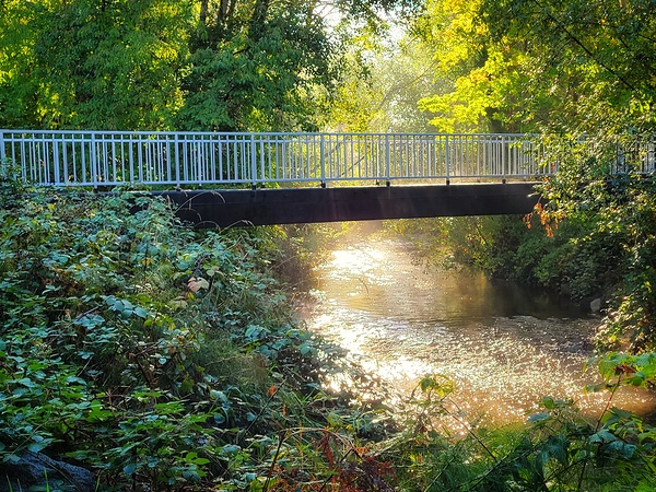 Bridge at Dawn Print