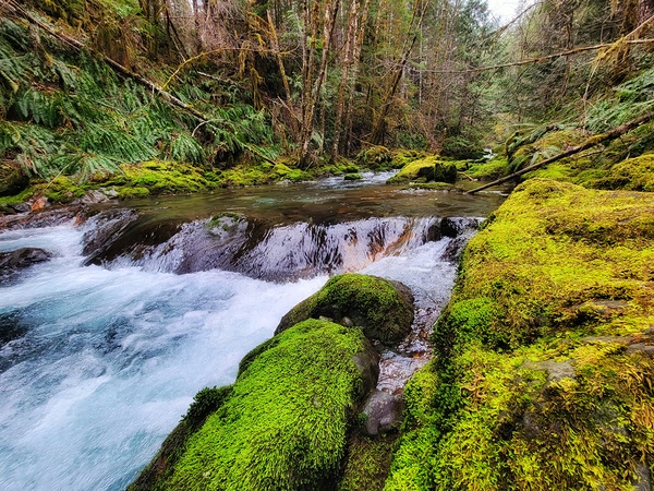 Running River Print