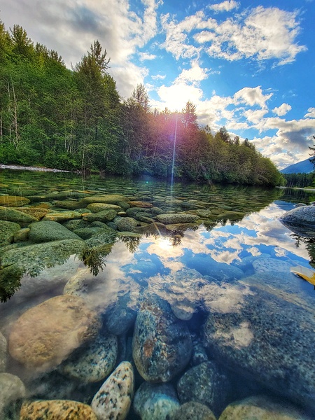 River Reflections Print