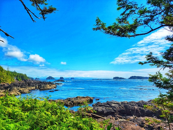 Barkley Sound Ocean Print