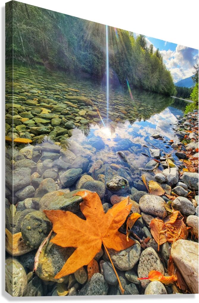 River Leaf Reflections Canvas Print
