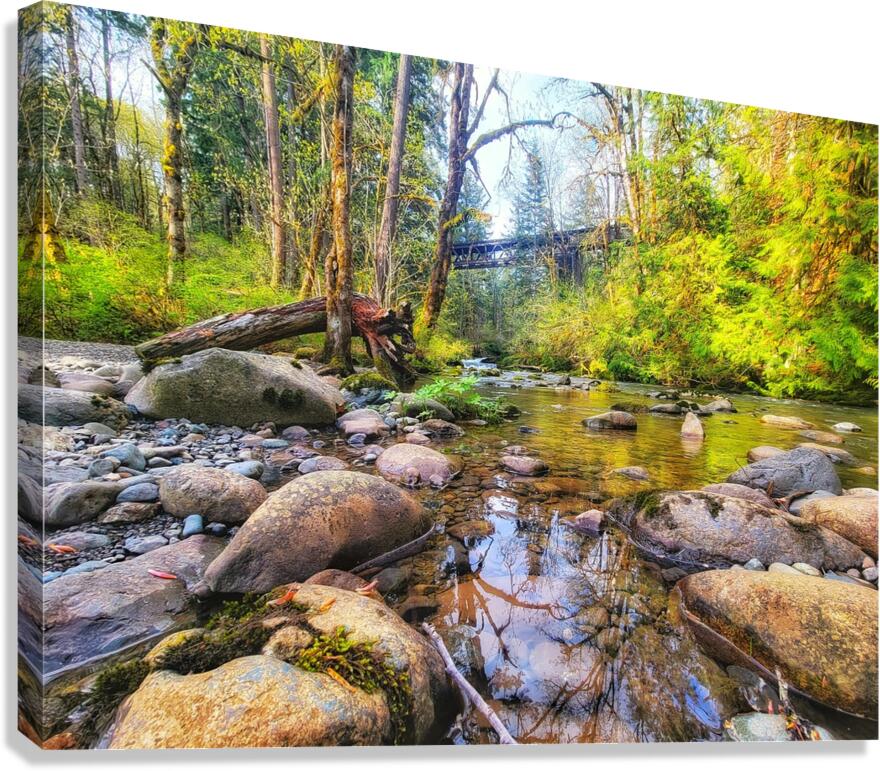 River Running under Trestle Canvas Print