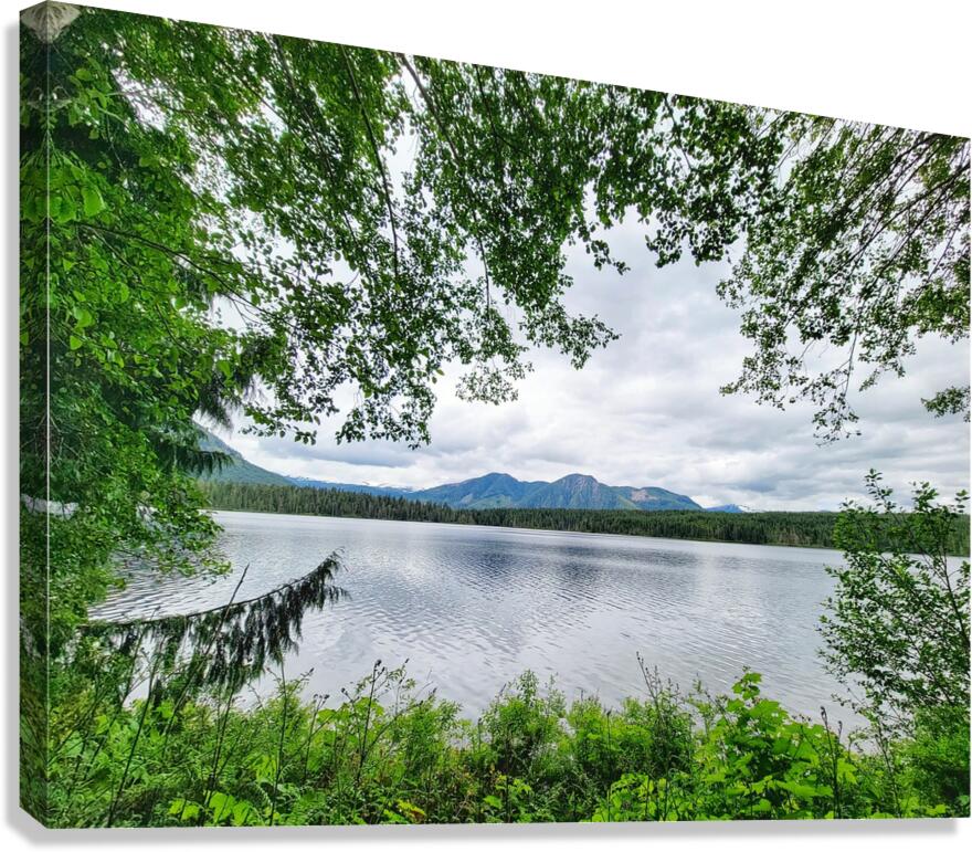 Tree Framed Nature  Canvas Print