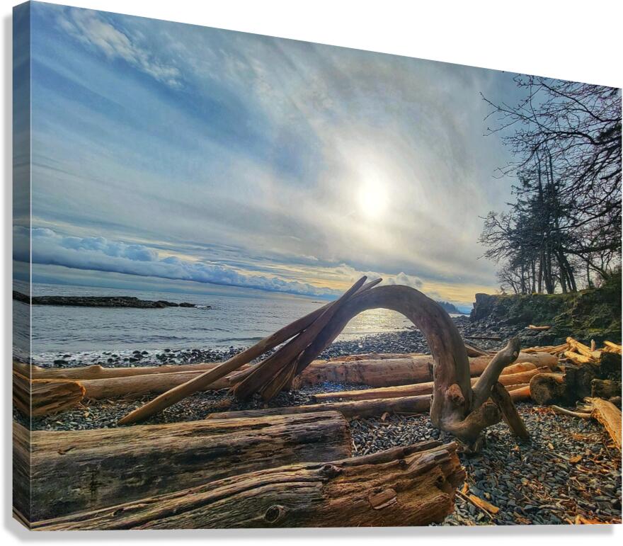 Driftwood  Canvas Print