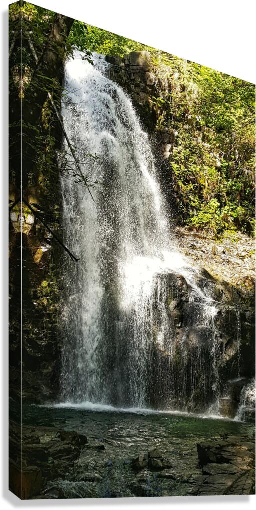 Weiner Falls Port Alberni Canvas Print