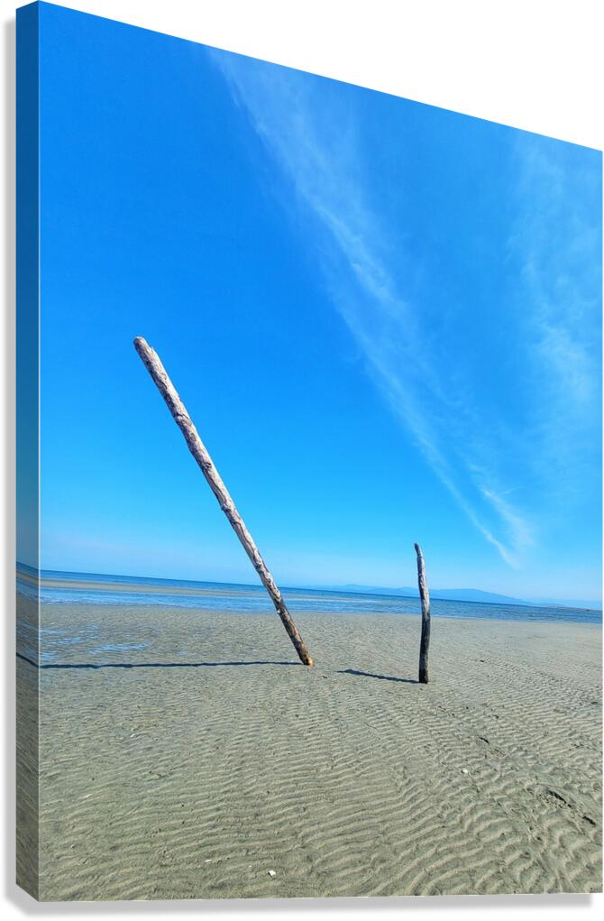 Beach Trees Canvas Print