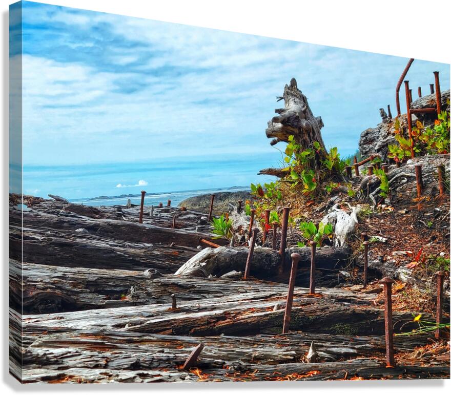 Shipwreck Canvas Print