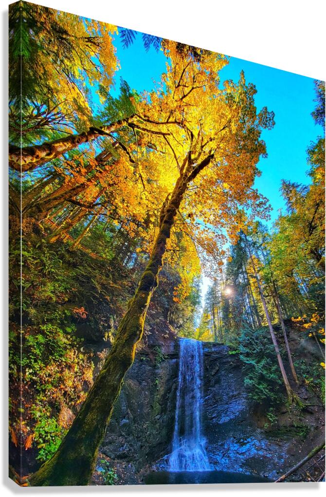 Ammonite Falls Canvas Print