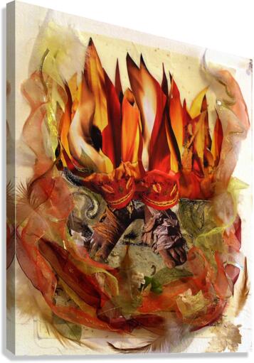 BGCMO Canvas Print