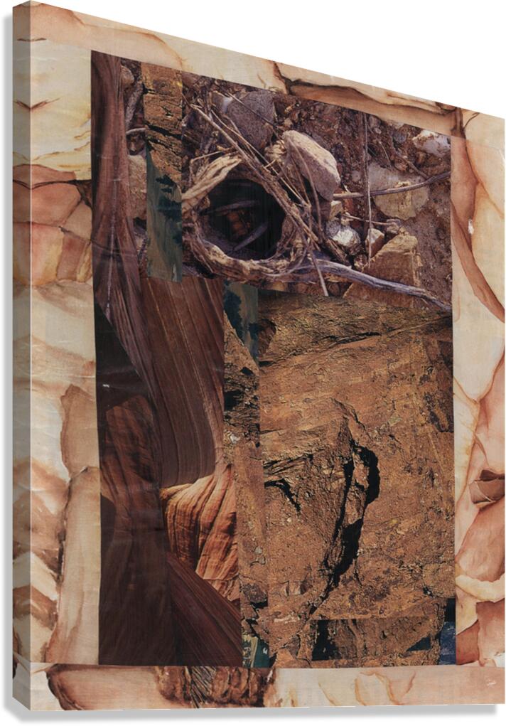 BGEMT Canvas Print