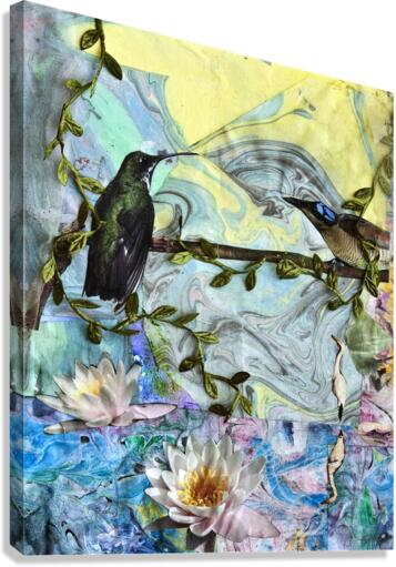 BGBSA Canvas Print