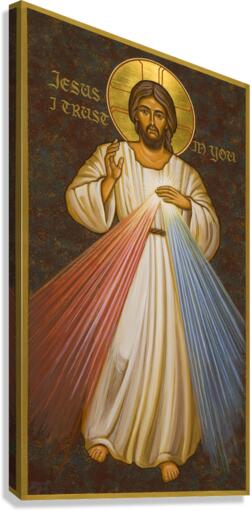 JCDME Canvas Print