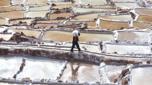 A Day at the Salt Mine