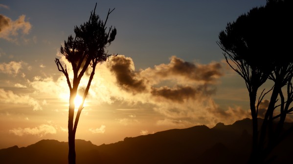 Wakanda Sunset Print