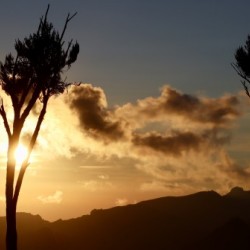 Wakanda Sunset