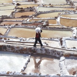A Day at the Salt Mine