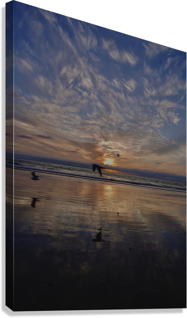 Flight Canvas Print