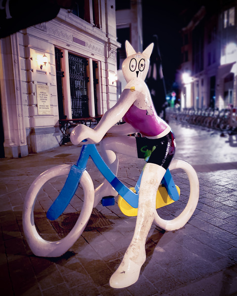One Night In Brussels by Chase Nevada Michaels