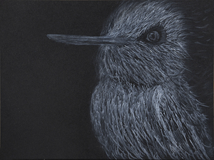 Hummingbird