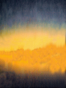 Liquid Pantanal golden sunrise