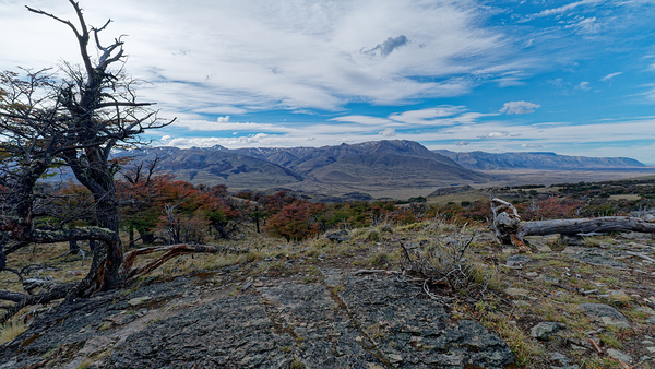 El Chalten vista  Print