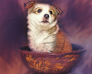 Tenderness in a Bowl