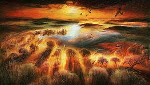 Golden fields at Sunset