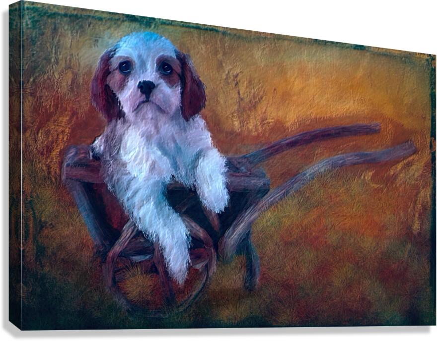 Waiting Canvas Print