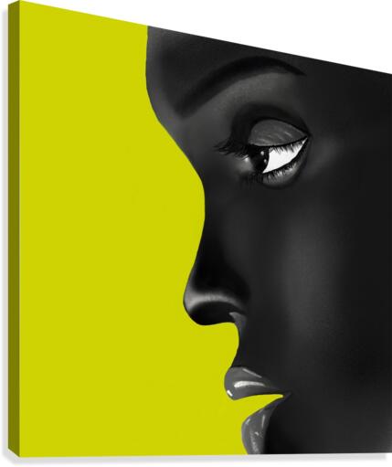 FaceArt Canvas Print