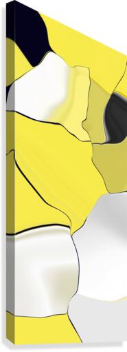 abstract Canvas Print