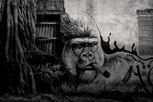 Havana Street Art