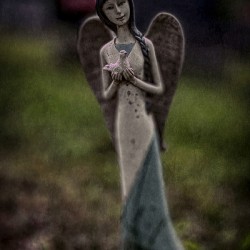 Left behind