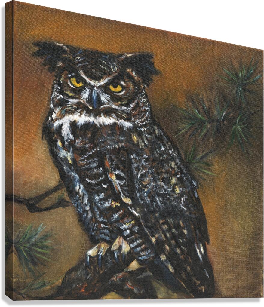 Owl Canvas Print
