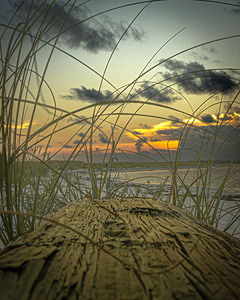 Driftwood Dunes at Sunset