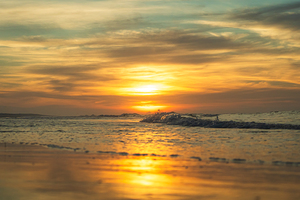 Golden Reflection Landscape