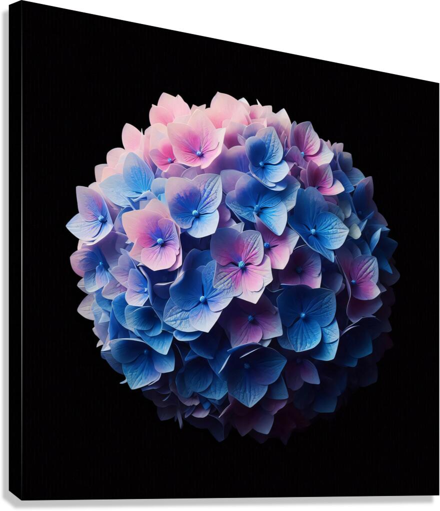 Hydrangeas 3 Canvas Print