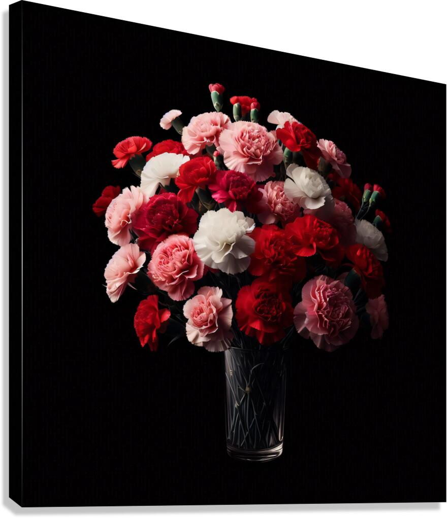 Carnations in full black background2 Canvas Print
