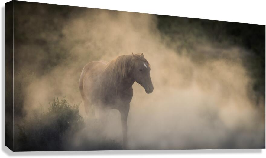 Mystery Canvas Print