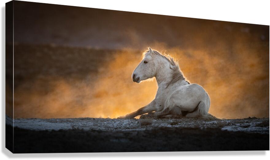 Cresciente Canvas Print