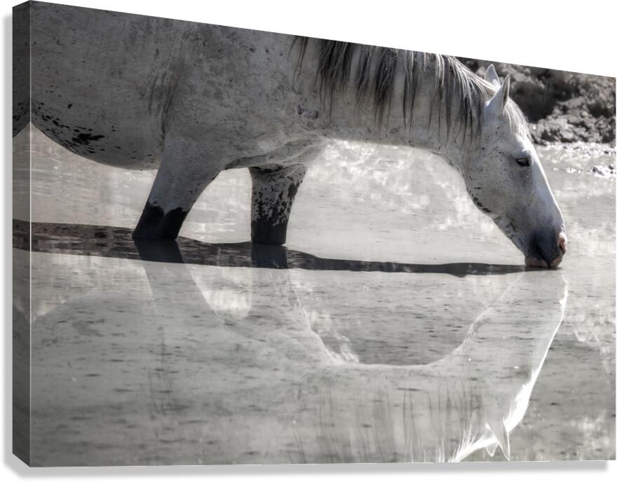 Reflection Canvas Print